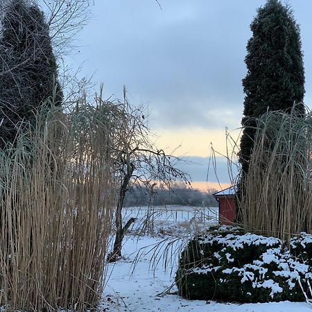 Villa Maria Garden Cottages, Helsingborg Exterior foto