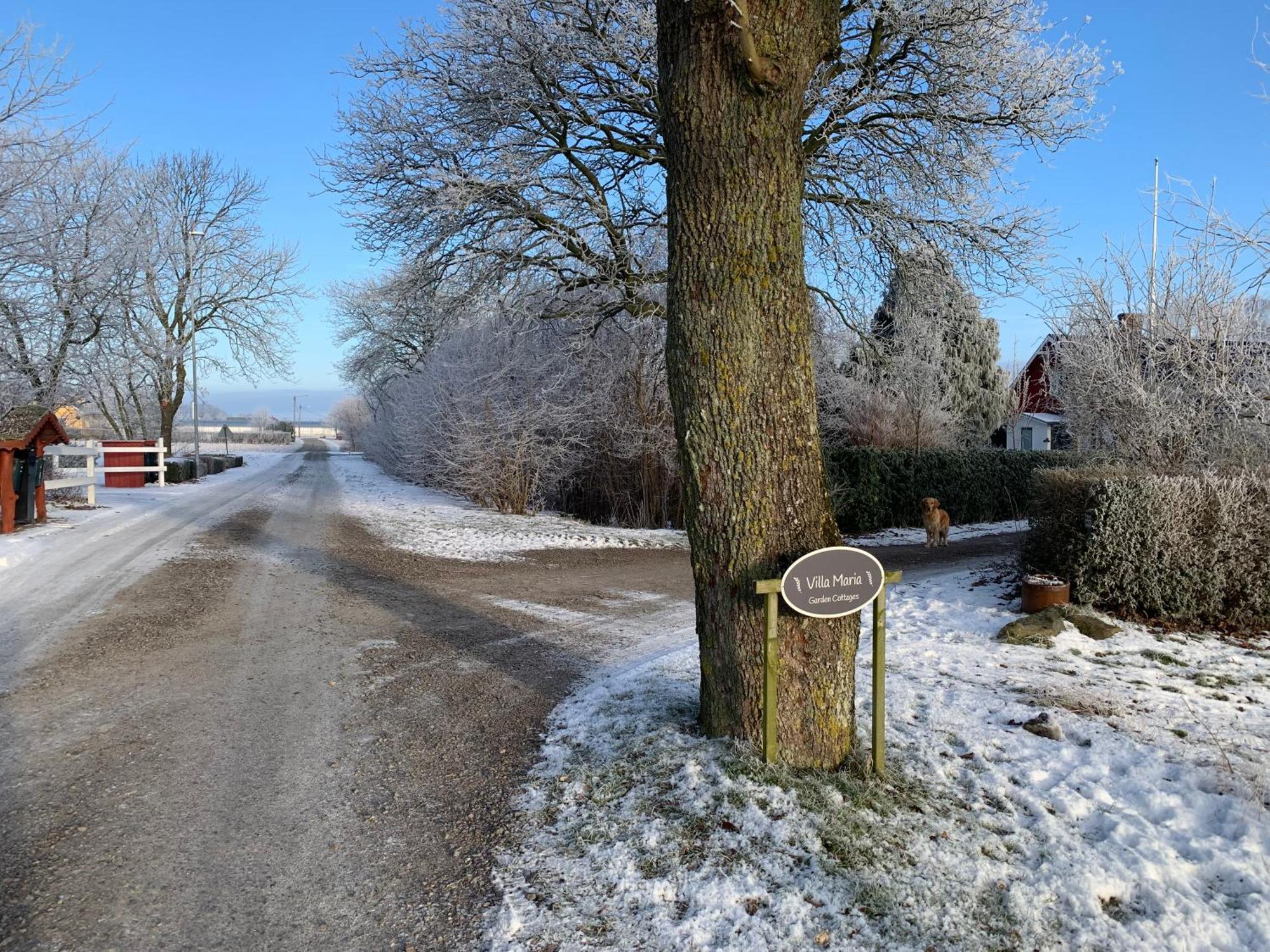 Villa Maria Garden Cottages, Helsingborg Exterior foto